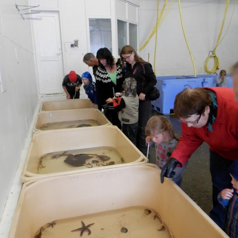 juli_2012__fjolskylduhatid_i_hrisey_13-15__122