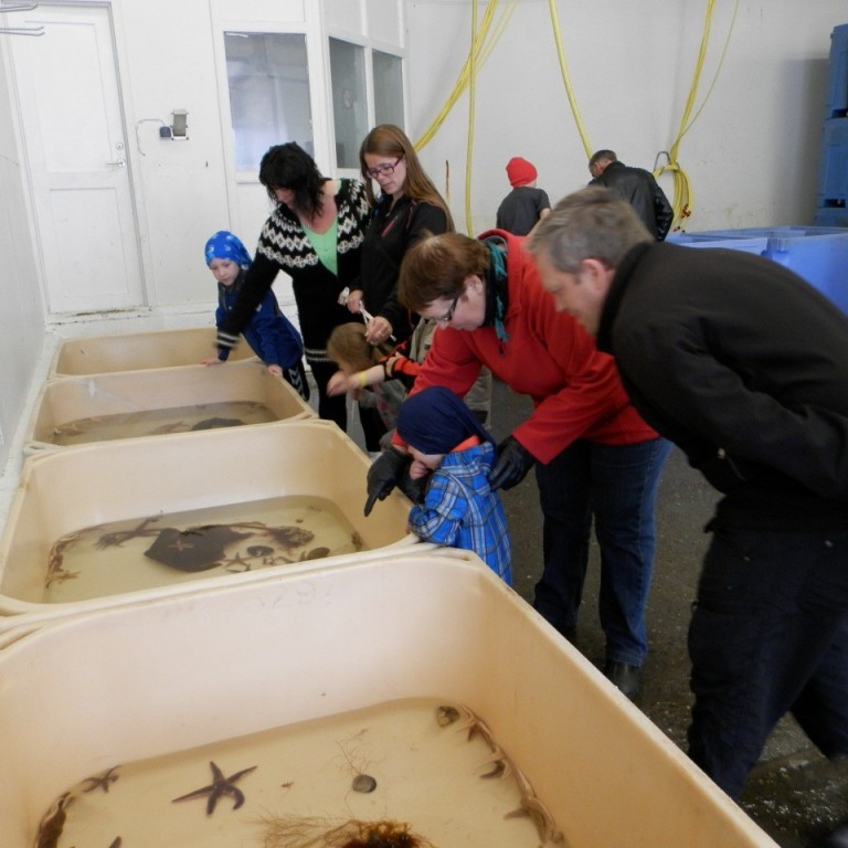 juli_2012__fjolskylduhatid_i_hrisey_13-15__123