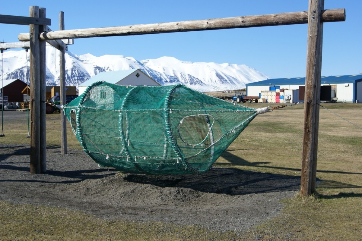 dsc07878.jpg