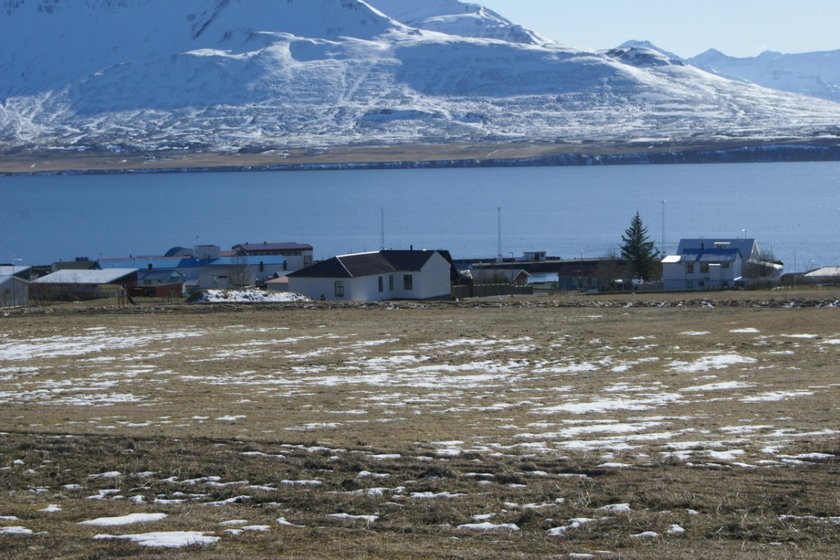 dsc07918.jpg
