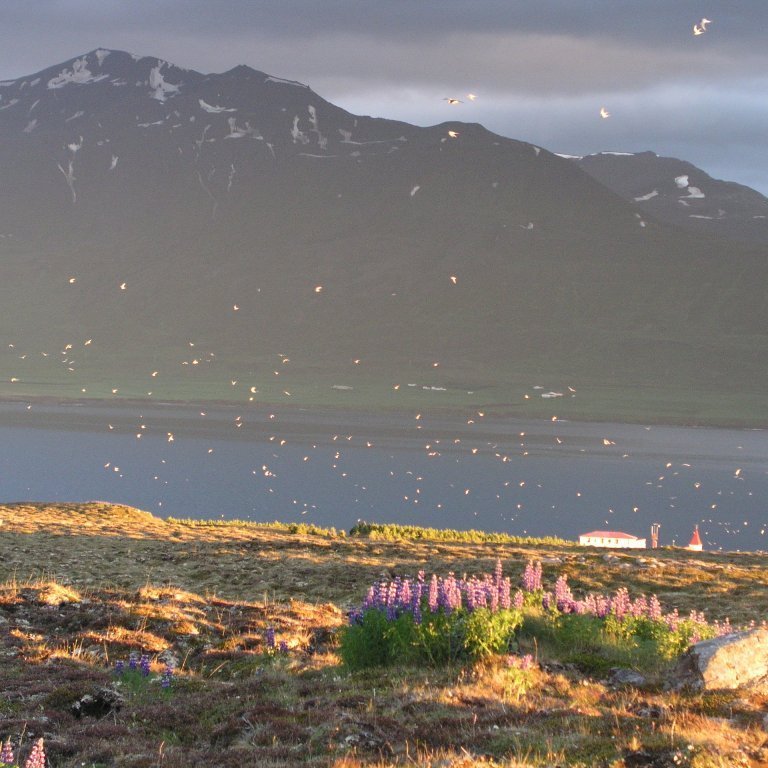 solarlag-i-kriuvarpi