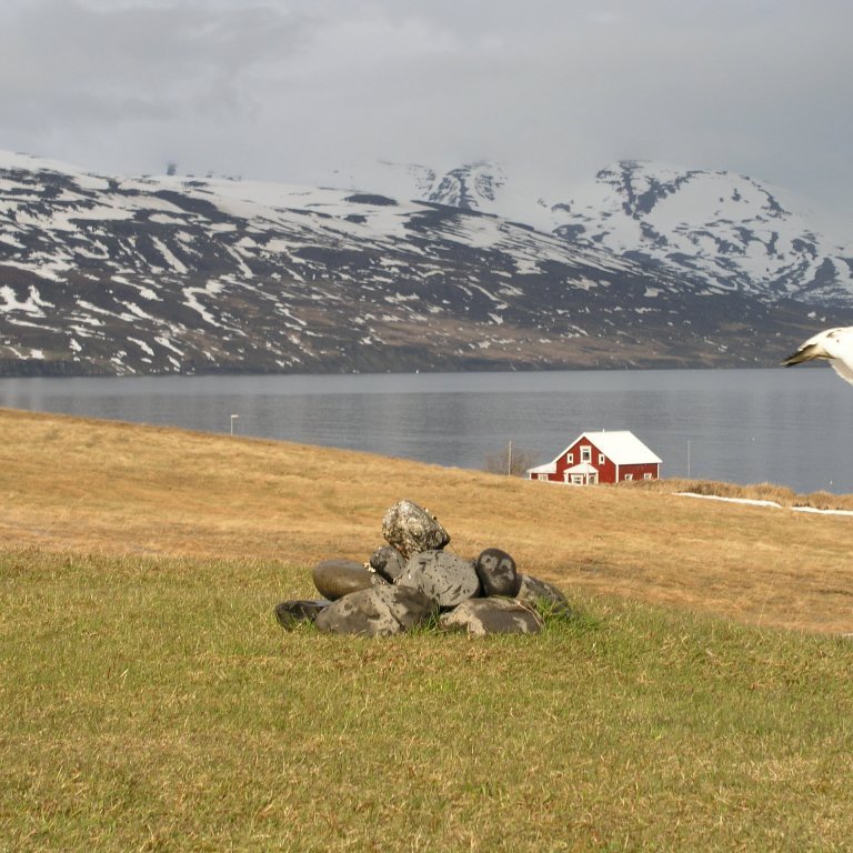 yfiradasvaedi-karranns