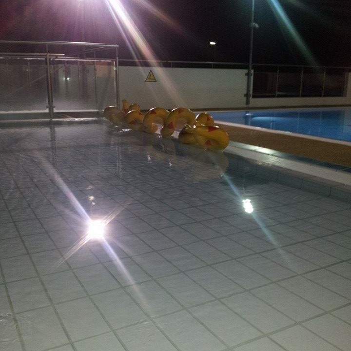 12348091_1528800550777641_3277790910417693587_n