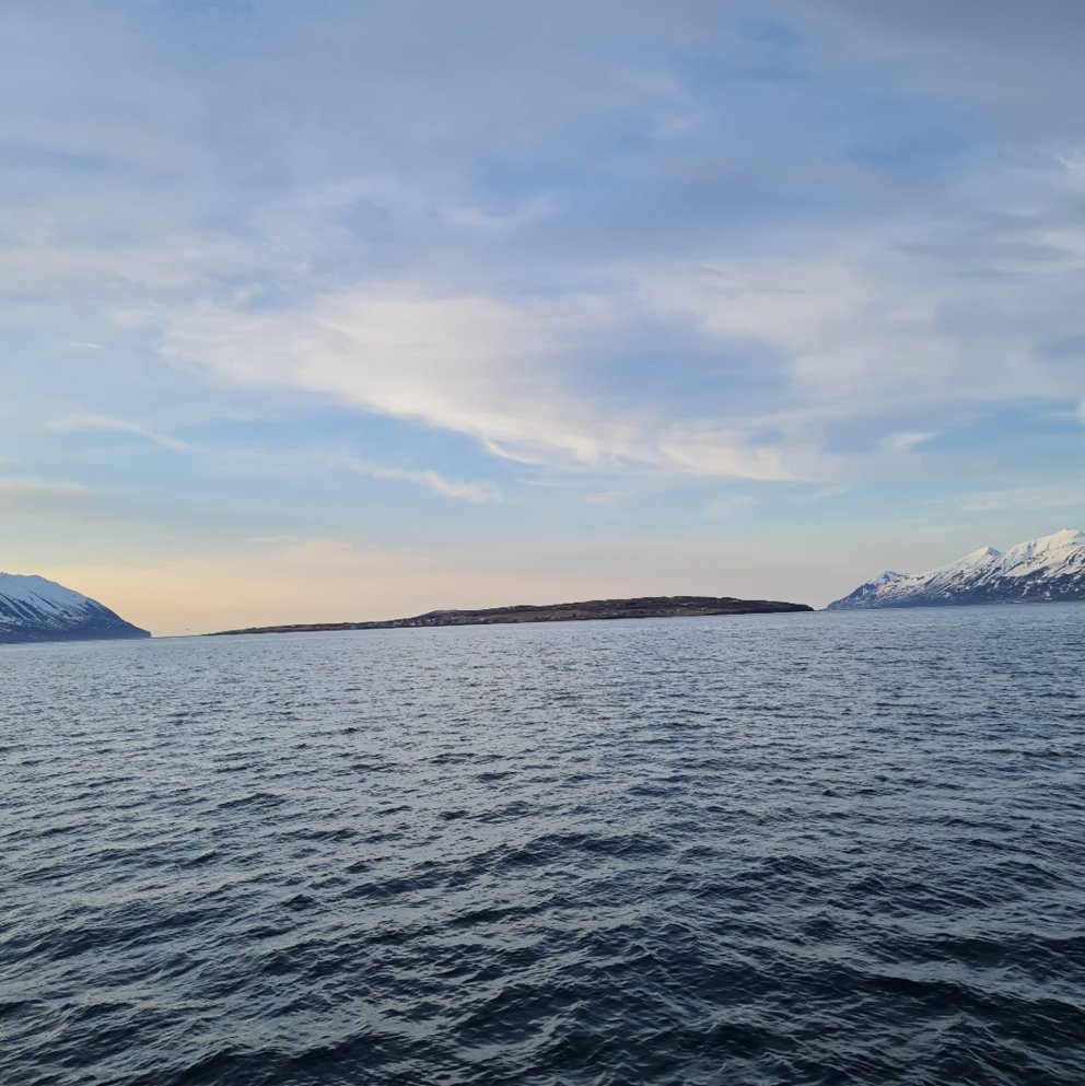 Hrísey, eyja tækifæranna