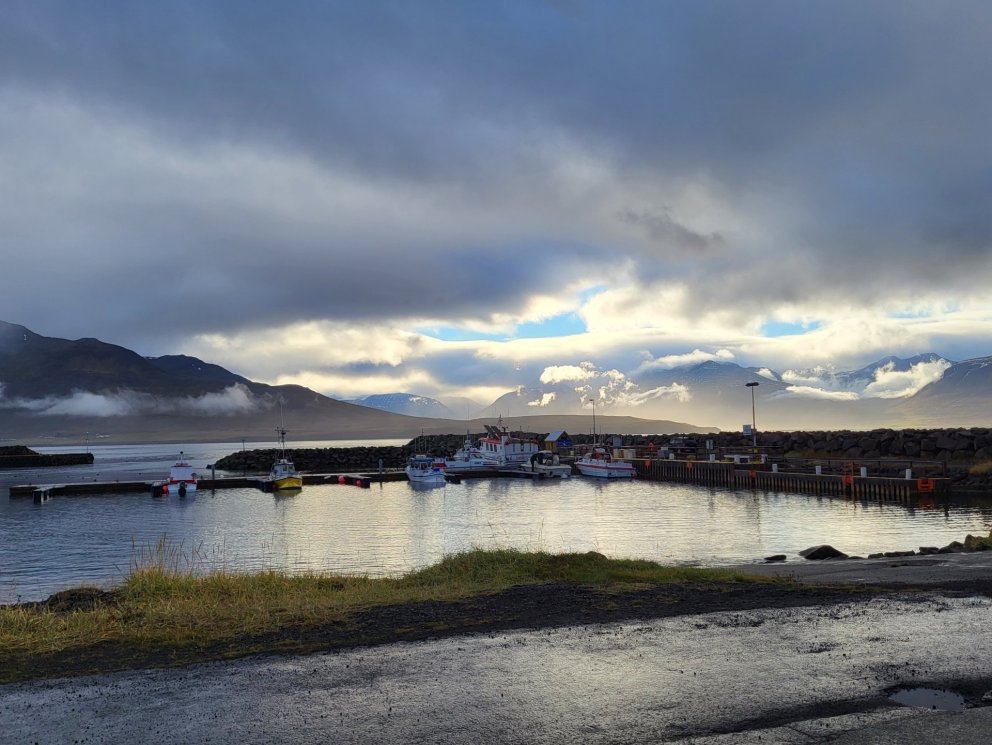 Auglýst eftir Þjónustu- og upplýsingafulltrúa í Hrísey