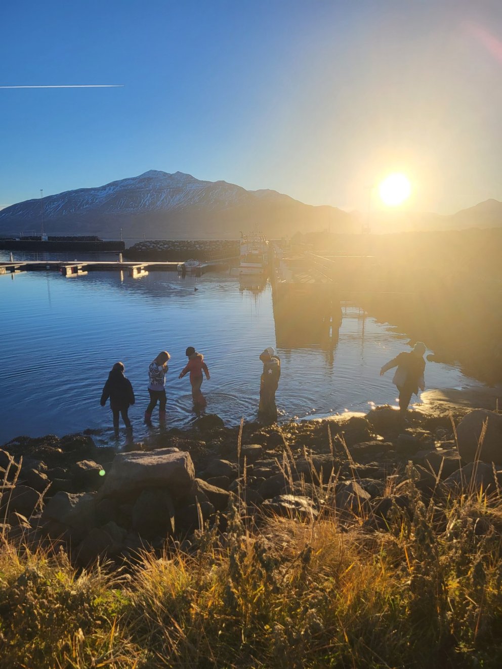 Krakkar í fjöruleik í Hrísey