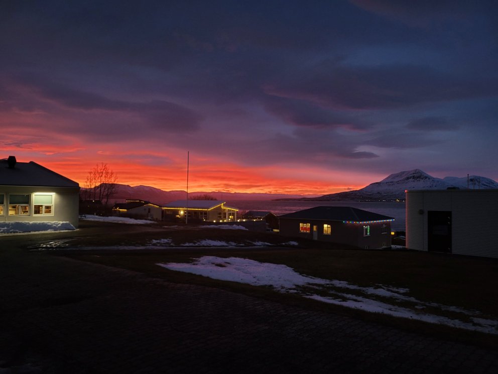 Litirnir á himninum hafa verið stórkostlegir í byrjun árs