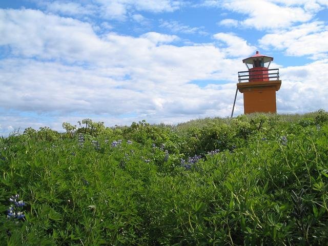 Hrísiðn og SagaNatura óska eftir starfsfólki sumar 2021