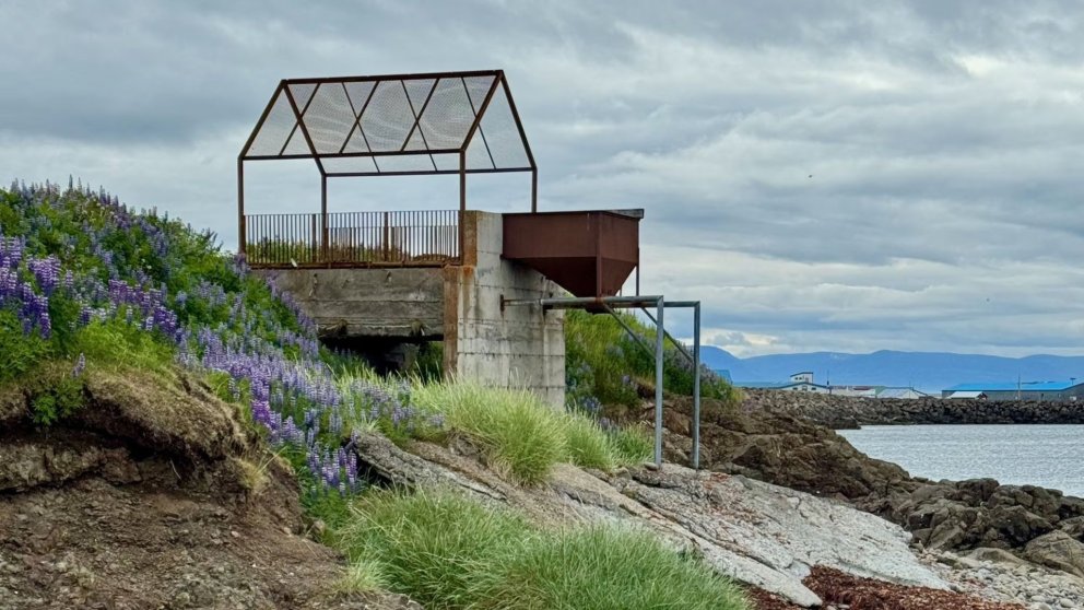 Guðný Pálína Sæmundsdóttir