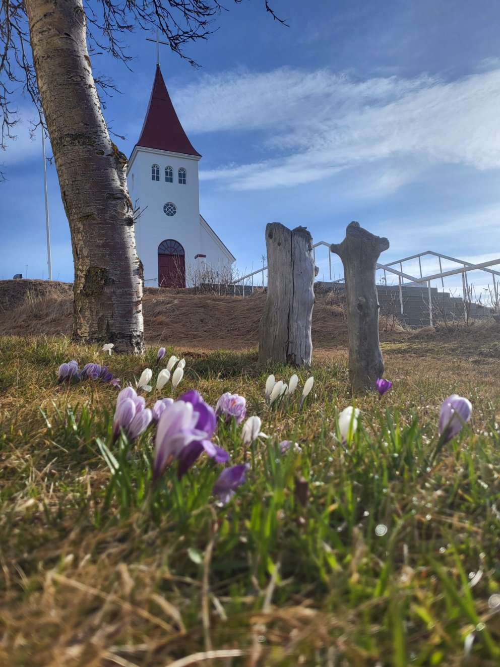 Sumarið nálgast í Hrísey