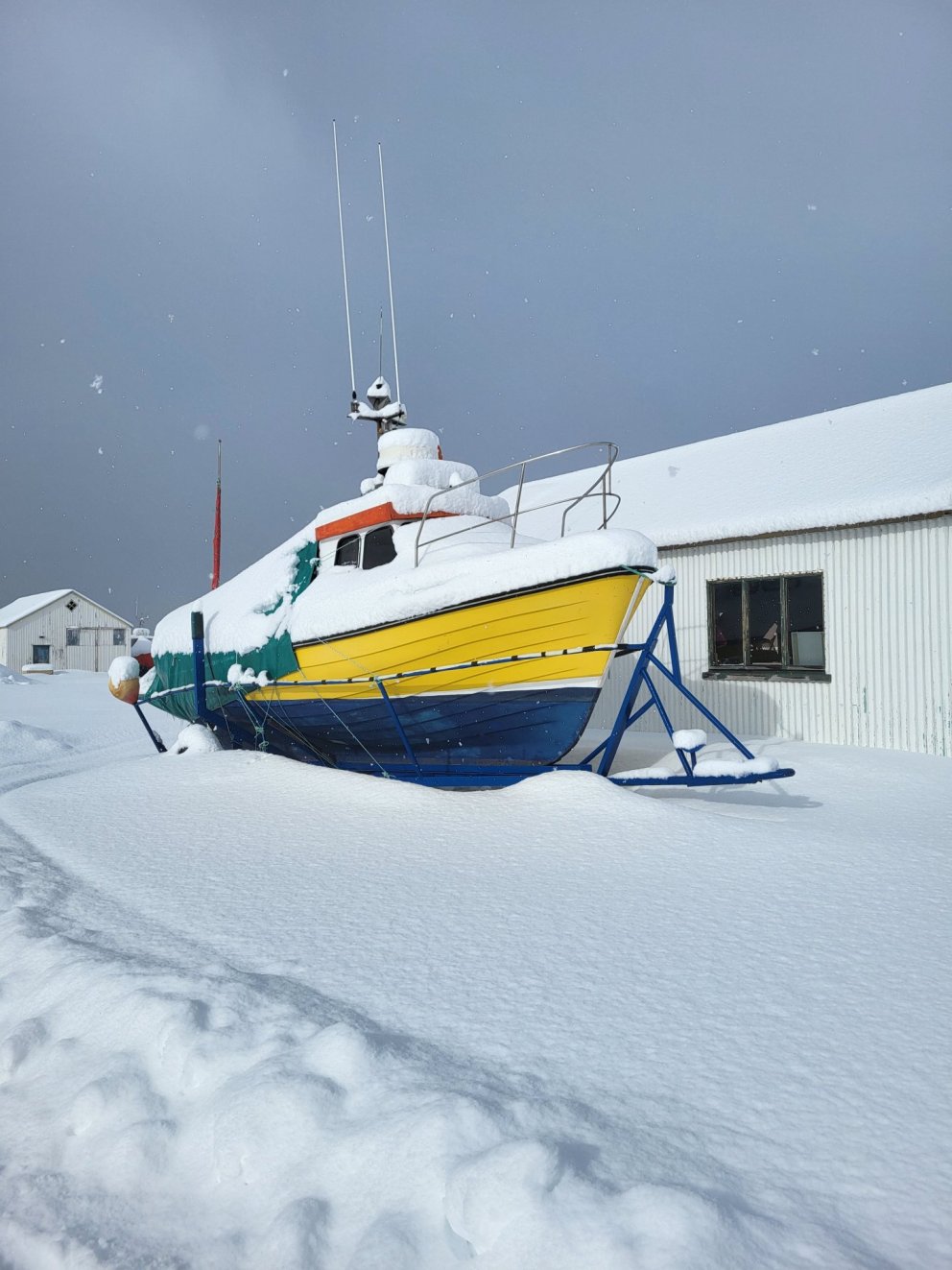 Mars var snjóþungur í Hrísey og er Sæunn orðin hvít