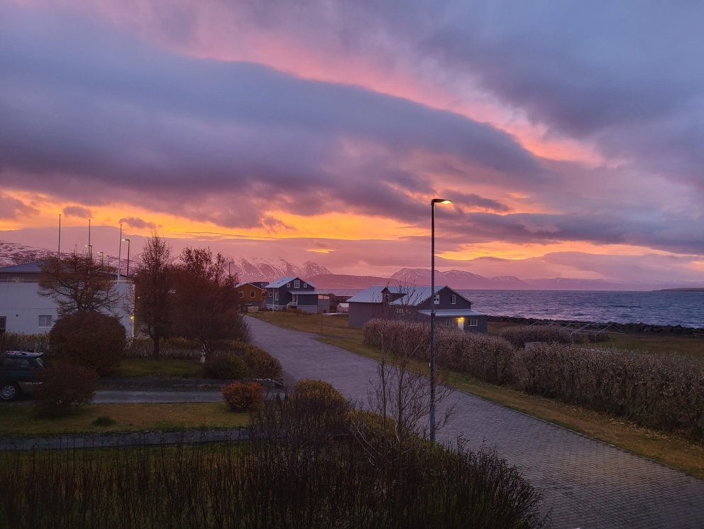 Það er fallegt í Hrísey á vetrarmorgnum