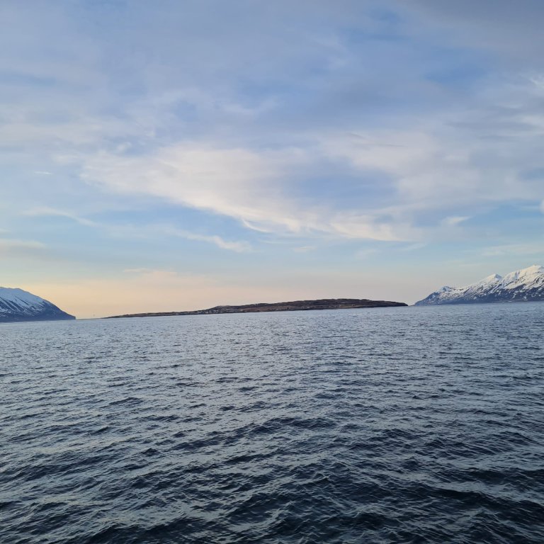 Hrísey, eyja tækifæranna