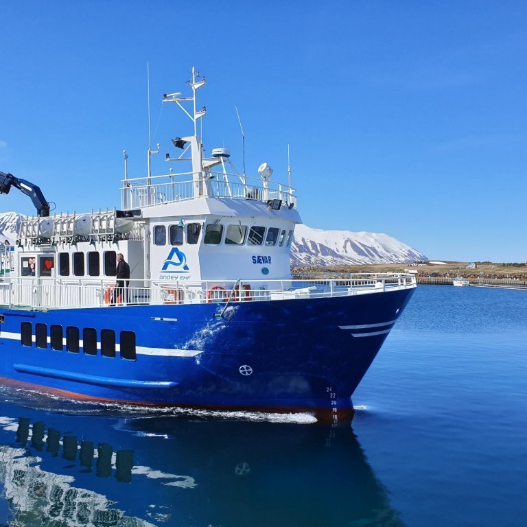 Sævar (mynd Unnur Sæmundsdóttir)