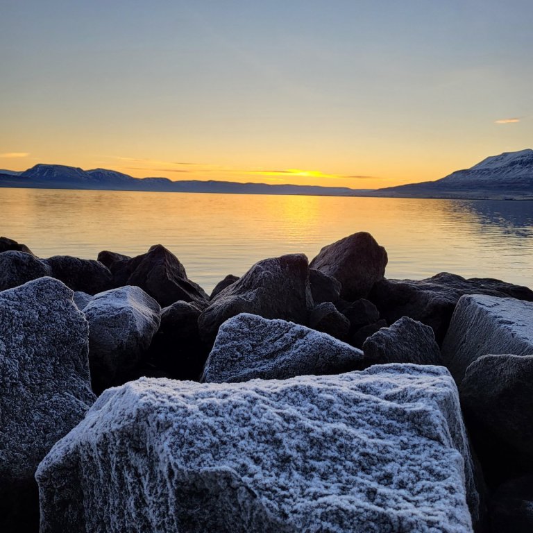 Fegurðin allt um kring