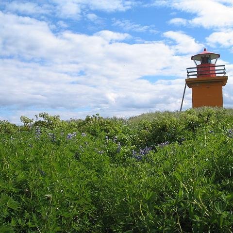 Hrísiðn og SagaNatura óska eftir starfsfólki sumar 2021